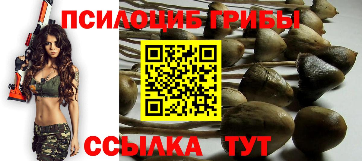 Псилоцибиновые грибы мицелий  Галлюциногенные грибы MAGIC MUSHROOMS  Вход с VPN  Коломна 